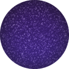 color - color.png?time=1667983168